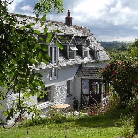 Higher Trenear Farm B&B 赫尔斯顿 外观 照片