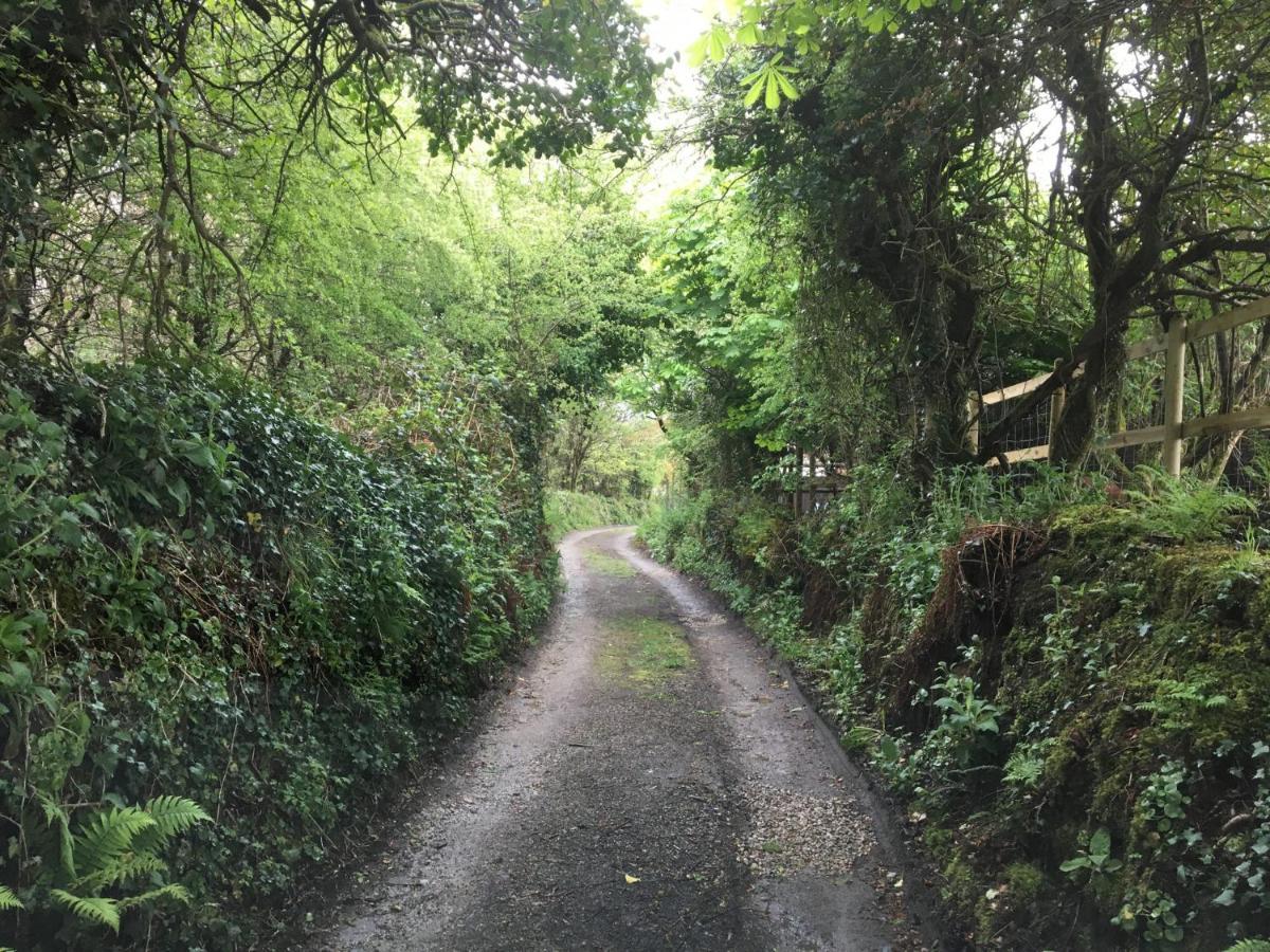 Higher Trenear Farm B&B 赫尔斯顿 外观 照片