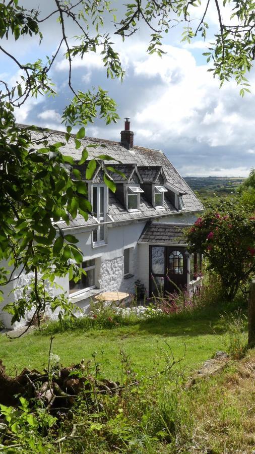 Higher Trenear Farm B&B 赫尔斯顿 外观 照片